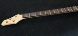 G Series Classic | s/n G2C 180008