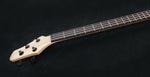 F Series Slimline | s/n HFS217005